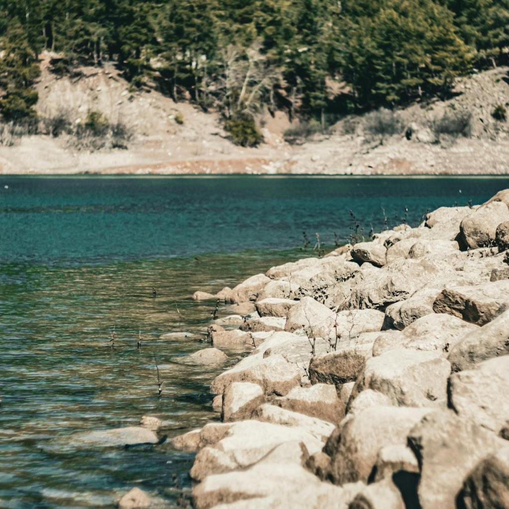 Finding Harmony: Why Work-Life Balance Isn’t a Luxury, But a Necessity for&nbsp;Founders