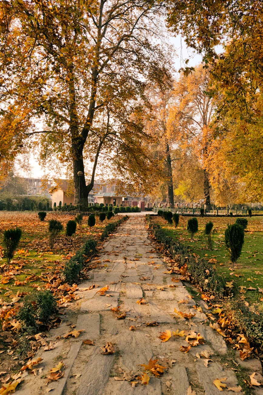 Mindful in November: Finding Calm, Clarity, and Control Before the Festive&nbsp;Rush